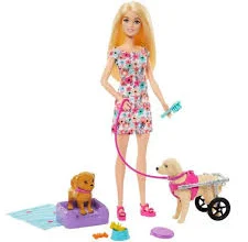 Boneca Barbie Passeio Com Pet Na Cadeira de Rodas – Mattel