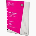 Refil Caderno Inteligente Compatível 11 Discos Grande 100fls