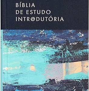 Bíblia De Estudo Introdutória - Nvi - Leitura Perfeita